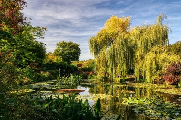 Giverny – Sur les traces de Monet