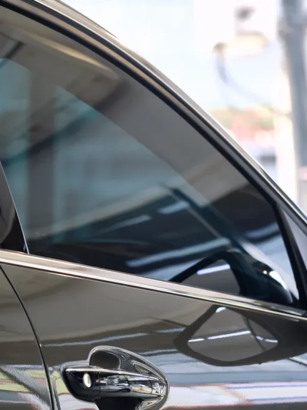 véhicules bichonnés